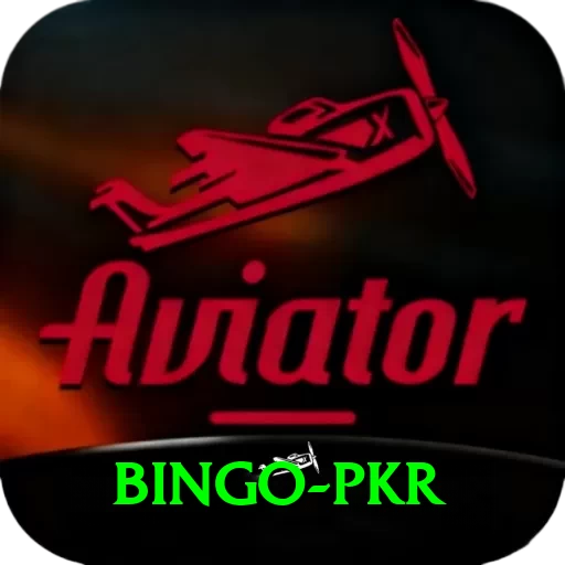 Bingo PKR Pro Max v5.4.1 - 2
