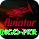 Bingo PKR Pro Max v5.4.1