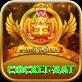 cricket bat - Live Master