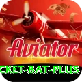 cricket bat Deluxe Jackpot