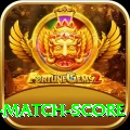 cricket match score - VIP Premium