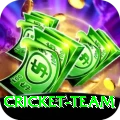 cricket team Money King v4.9.2