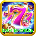 david wiese - Mega Earning App