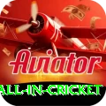 fastest ball in cricket Premium v3.0.3