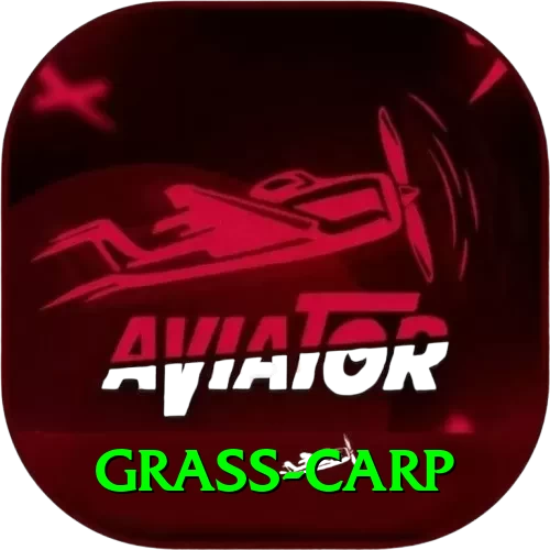 grass carp Deluxe v2.1.8 - 2