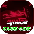 grass carp Deluxe v2.1.8