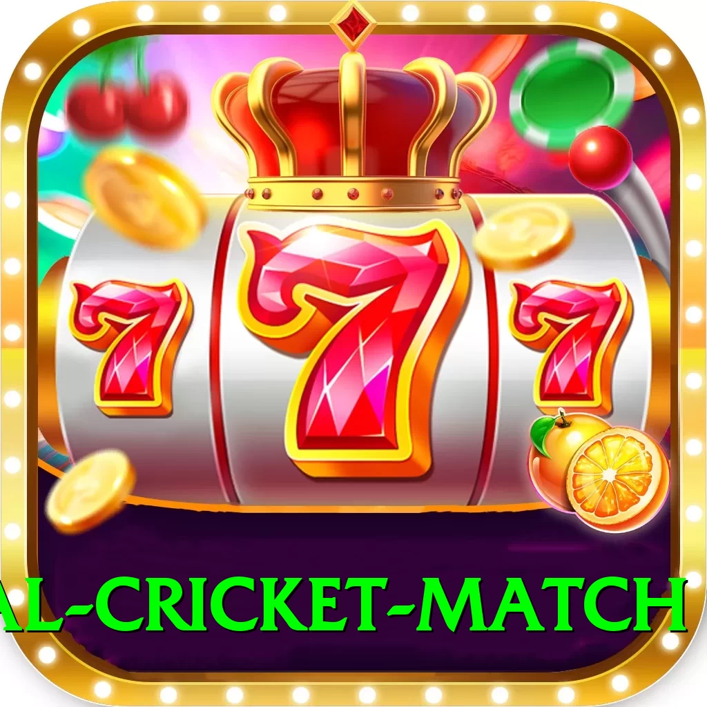 international cricket match Gaming Champion v5.5.6 - 2
