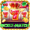 international cricket match Gaming Champion v5.5.6