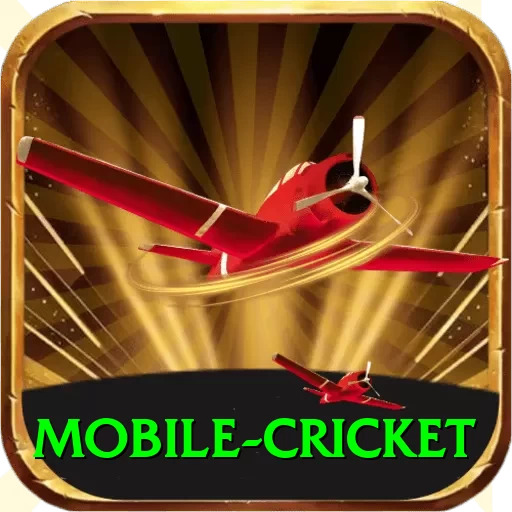 mobile cricket VIP PK v2.1.8 - 2