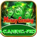 paks Gaming Pro