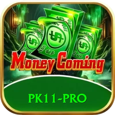 pk11 Pro - Casino & Slots - 2