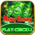 play cricket Elite - Casino & Slots