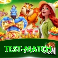 test match App Master v5.6.3