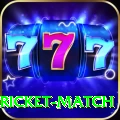 to day cricket match - Gaming Premium