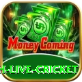 watch live cricket Plus 2024
